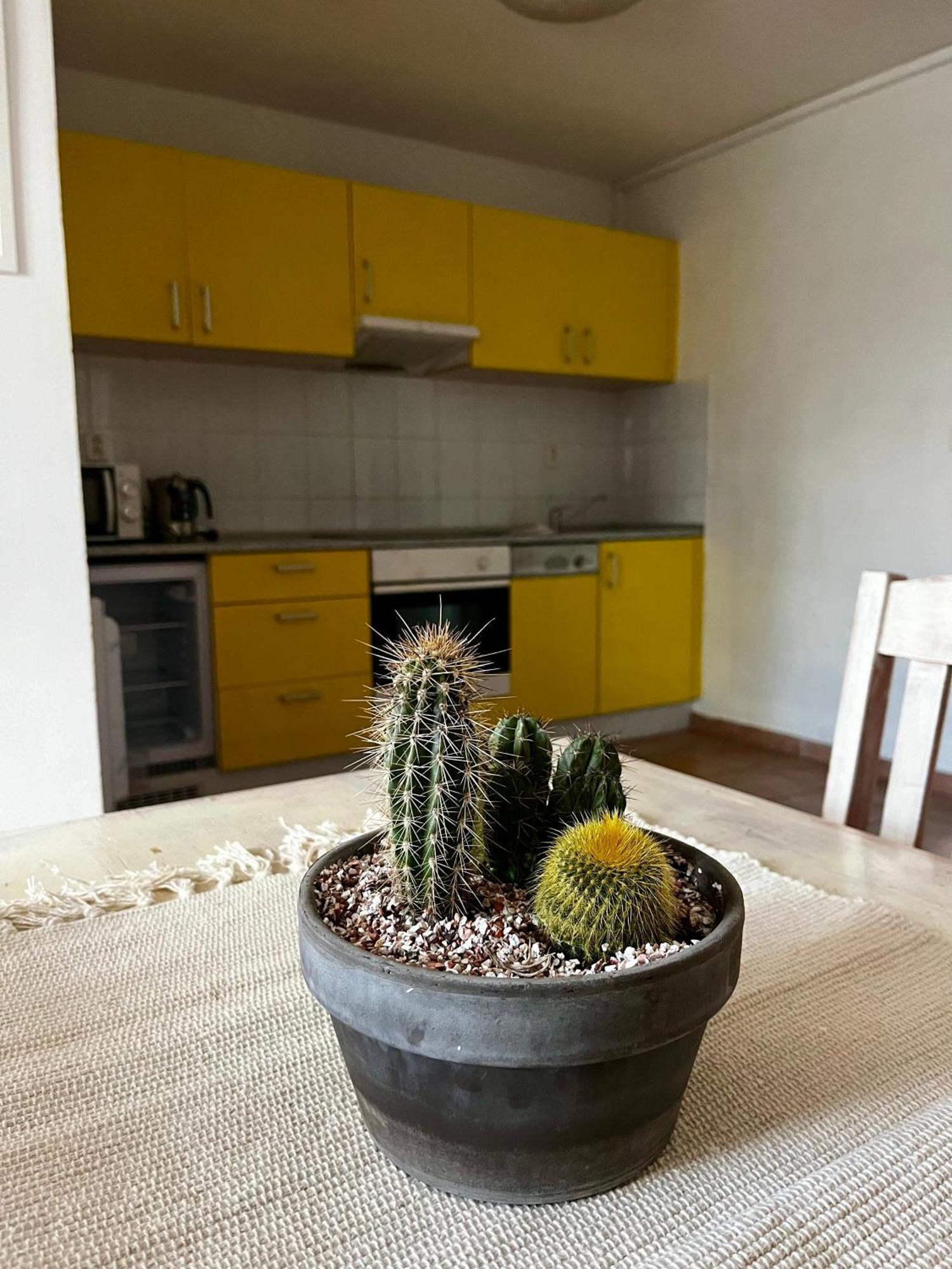 Mohelensky Dvur Apartment Mohelno ภายนอก รูปภาพ
